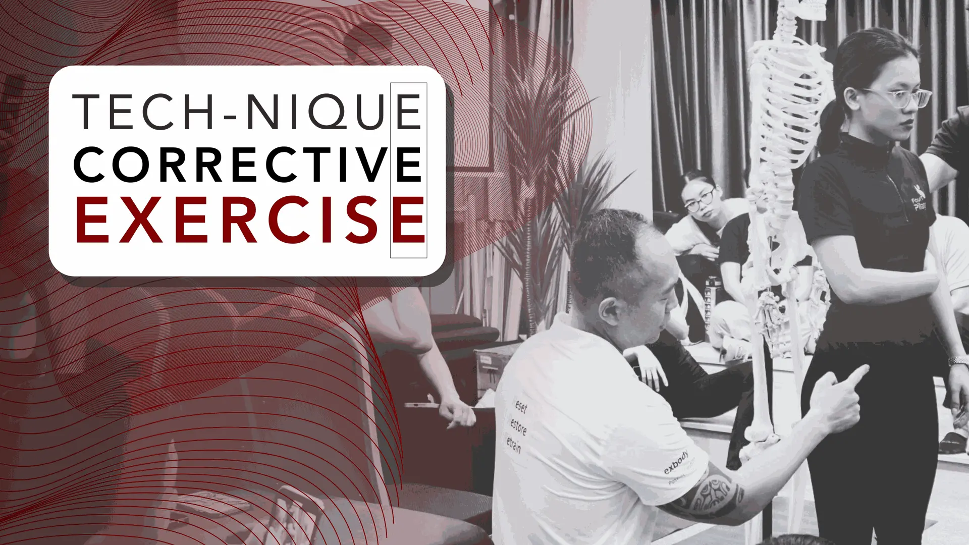 chứng chỉ, chứng nhận fitness, chứng nhận huấn luyện viên cá nhân, chứng nhận PT thể dục hiệu chỉnh tư thế - vận động giãn cơ tích hợp - giãn cơ có huấn luyện viên trải mạc cơ, hyperblade, fitness, giải phóng mô mạc giải nén mạc cơ