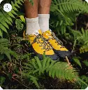 Mustard(4).webp