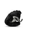 Husky(3).webp